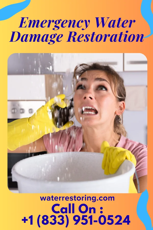 Emergency Water Damage Restoration in St. Augustine, IL