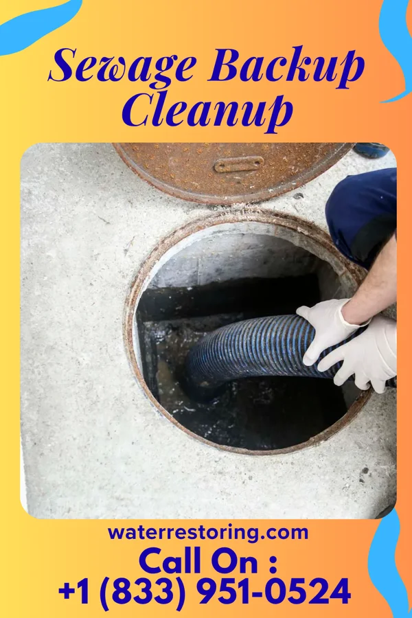 Sewage Backup Cleanup in St. Augustine, IL